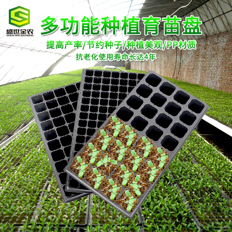 .长盘方形PS穴盘育苗盘育苗盆塑料育苗盒菜花卉西瓜蔬肉多种植托