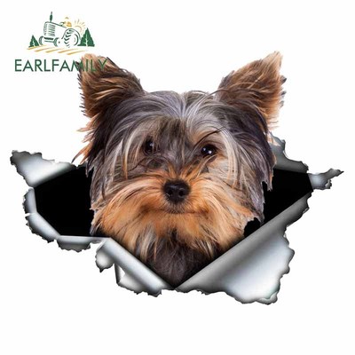 现货RLFILY 1cm  12.6cm Yorkshire Terrier Viyl Stker