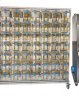 ZZ供小鼠立通气笼IVC型号:JV222-VM330BU42A2库号：M183872