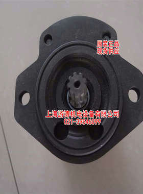 报价齿轮泵AZPFF-12-011/011LRR2020MB-S0847上海游涛供应量大从