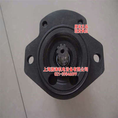 报价齿轮泵AZPFF-12-011/011LRR2020MB-S0847上海游涛供应量大从