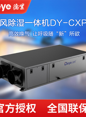 德业新风除湿一体机DY-CXP25别墅双风阀水泵直排吊顶新风抽湿机
