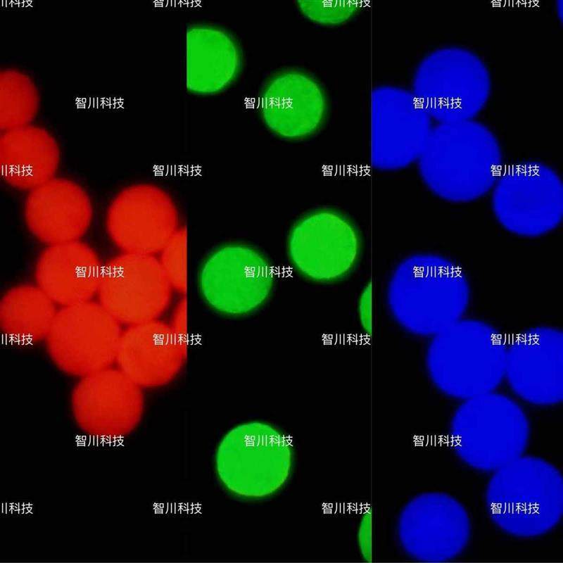 聚乳酸荧光微球(PLA)聚乳酸-羟基乙酸(PLGA)荧光微球