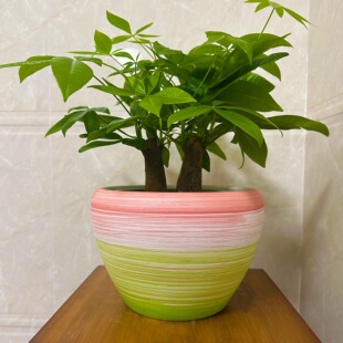 新款拉线陶瓷花盆高颜值简约家用室内外盆栽君子兰绿萝发财树绿植