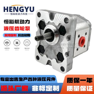马祖奇泵油泵MARZOCCHI齿轮泵1PD5.81PD7.51PD11.5液压泵高压
