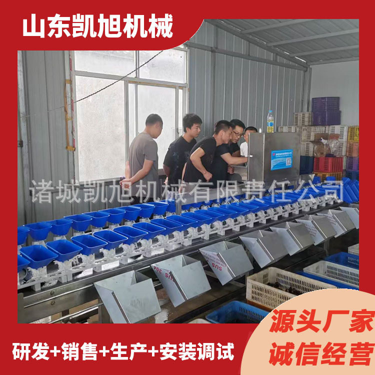 梭子蟹螃蟹公母重量分级机 海鲜称重分选机 智能分选节约人工