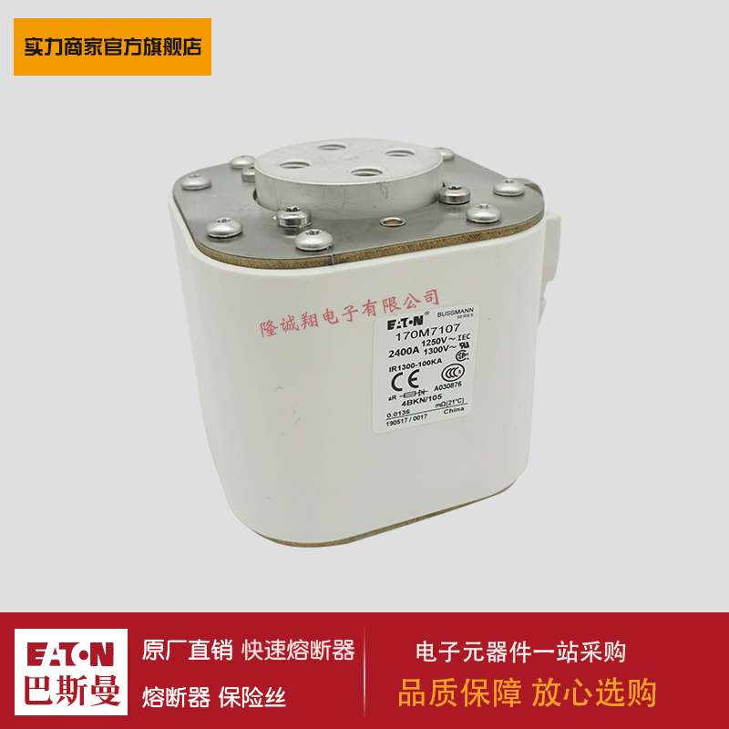 熔断器170M7227 170M7228 170M7229 170M7231 170M7235 170M7238