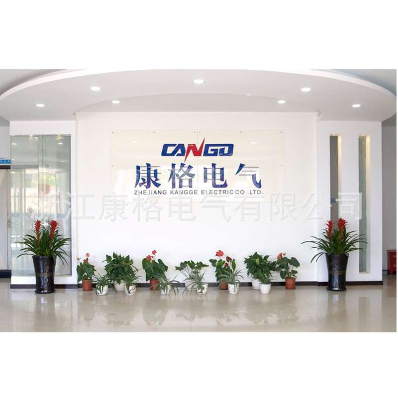 国网标准单相九表位电能表塑料计量箱 9表防水电表箱 经济型表箱