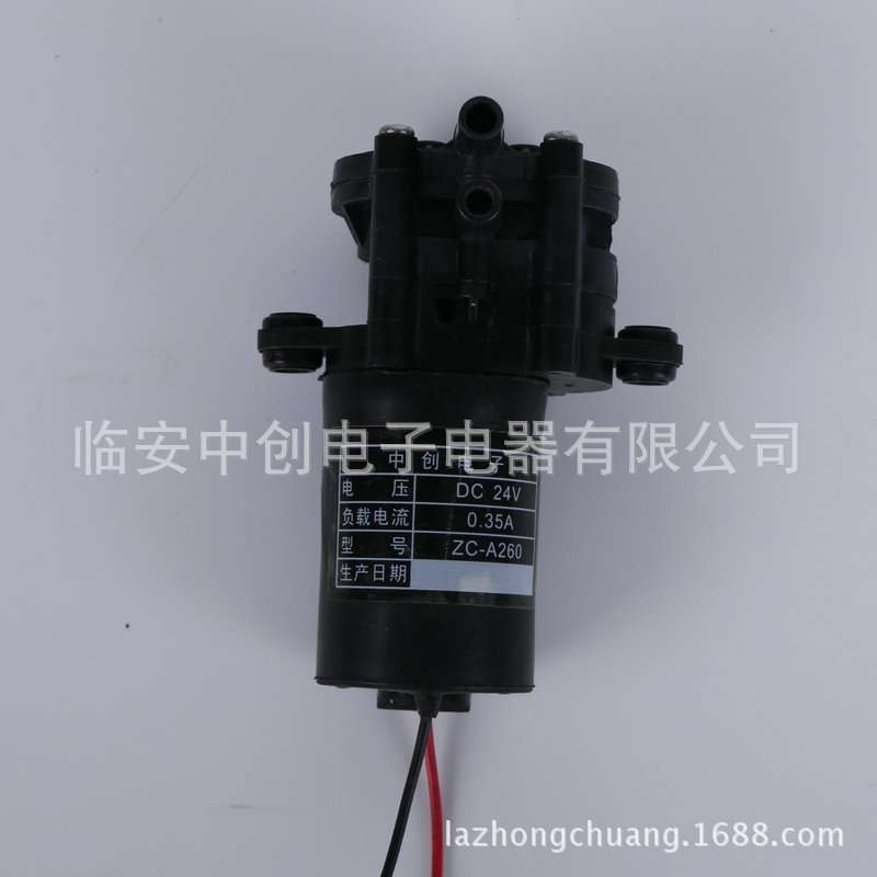 24vA260食品级咖啡机泵微型齿轮泵耐臭氧增压泵炒菜机自吸油泵