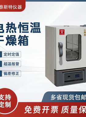 WHL-65B实验室小型烘箱数显微电脑控制干燥箱