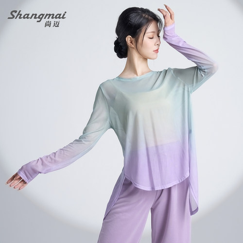 速发古典风服身韵渐飘网状纱衣变逸练功服中国舞国舞舞蹈演出