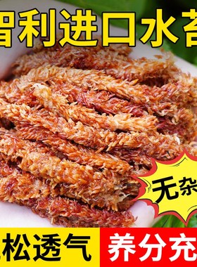 速发毛毛虫用兰干水苔蝴蝶苔专用智利苔藓乌龟造景土兰花专水植料