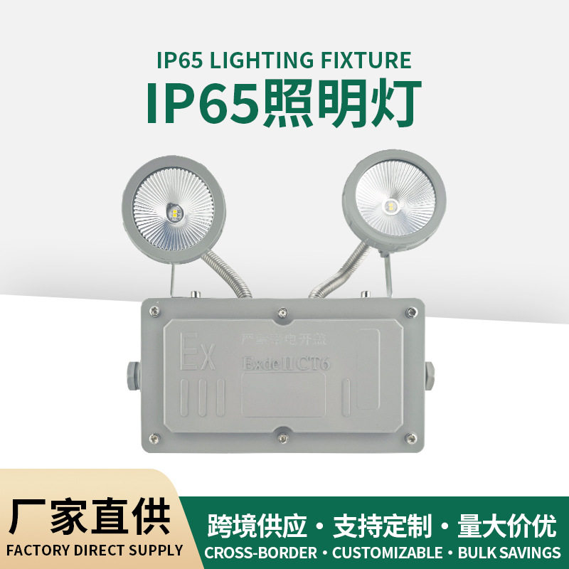 LED防爆双头应急指示灯