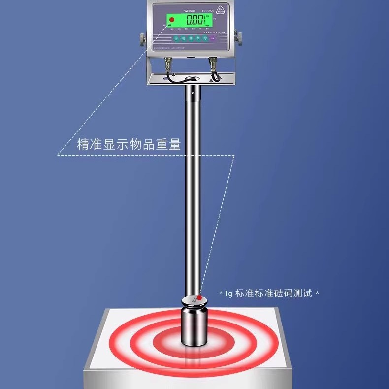 飞亚EX650防爆本安电子秤150kg