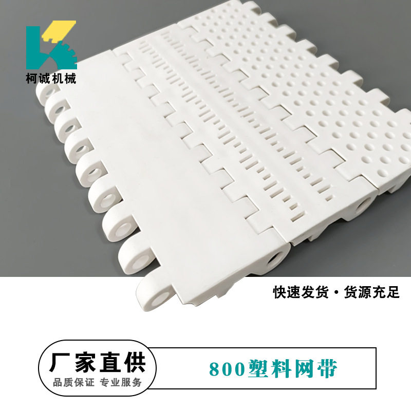 800尼龙PP流水线输送网带
