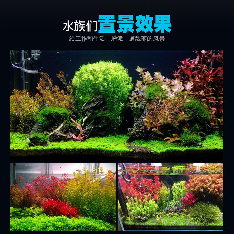 RGBW定时调光调色智能水族灯