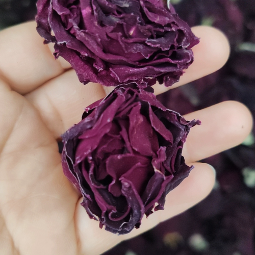 精选云南优质头茬墨红玫瑰美容养颜大朵冻干