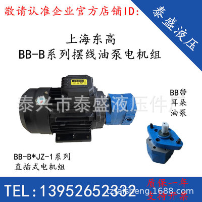 BB-B6JZ-1摆线油泵电机组BB-B10JZ/BB-B4JZ-1上海东高BB-B16NJZ-1