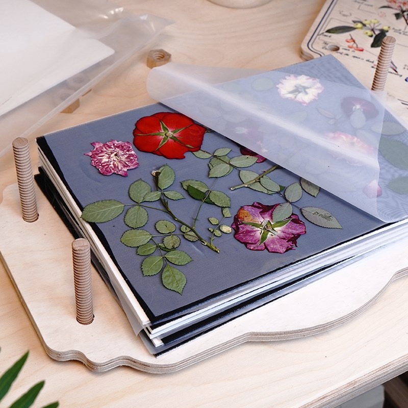 超大号压花板押花器植物标本制作工具手工自制干花T水果片树叶diy