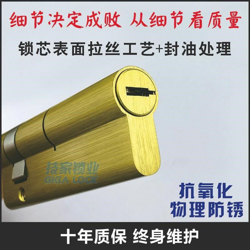 C级全自动指纹锁锁芯智能锁心防盗门单开带尾巴电子门专用应急锁