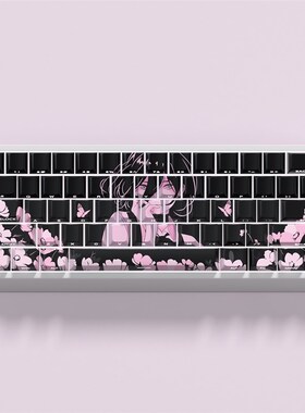 原厂高度蕾塞主题键帽适配60/63/64/68磁轴键盘热升华WPBT侧刻透