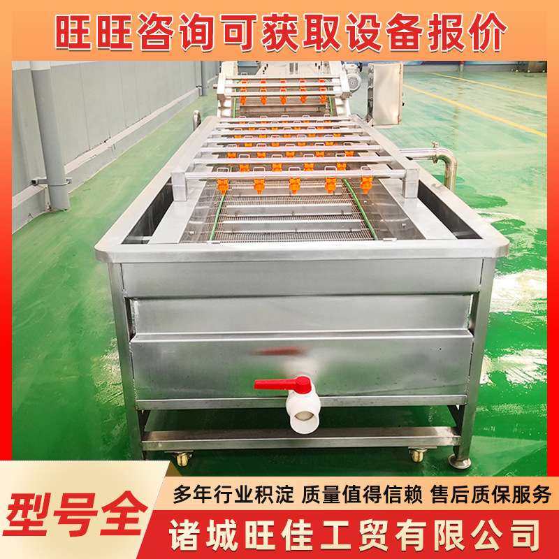 全自动果蔬气泡清洗机 毛豆深加工流水线 连续式圣女果清洗设备,鲜花速递/花卉仿真/绿植园艺,割草机/草坪机,淘宝优惠券,粉丝福利购,淘宝优惠卷