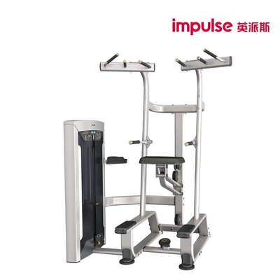 英派斯引体上升训练器 FE9720