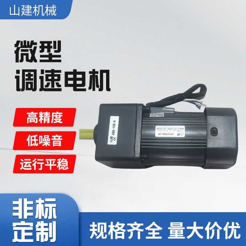 永磁步进交流220V减速电机