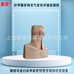 康津KJR/4052环甲膜穿刺及气管切开训练模型气道护理喉罩通气模具