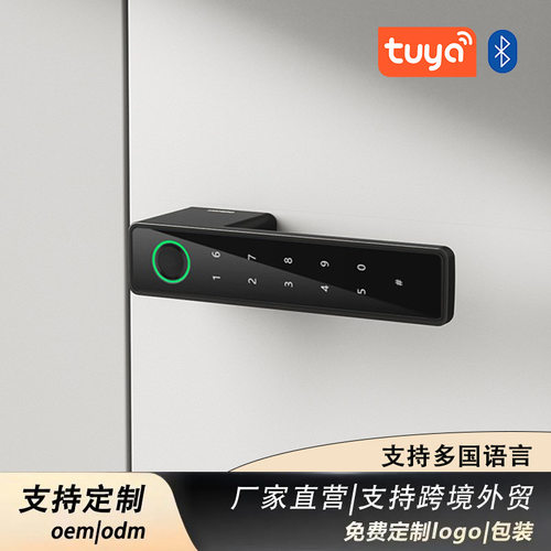 跨境十国语言涂鸦极简指纹锁磁吸锁密码锁木门锁室内卧室生态门锁