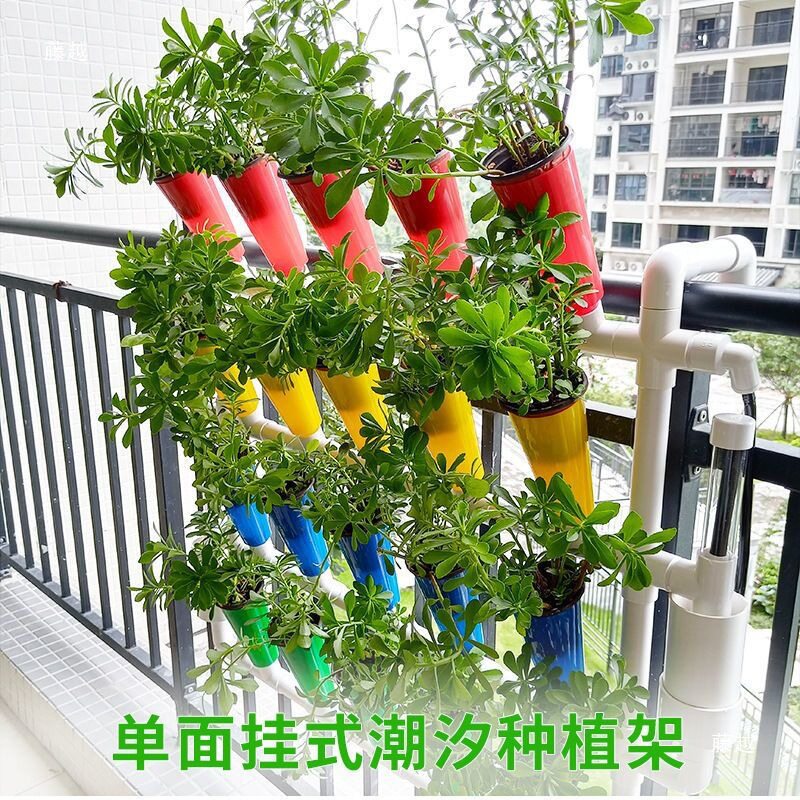 鱼菜设备水培系统阳台全套无土栽培种植花园家庭挂壁架共生蔬菜小