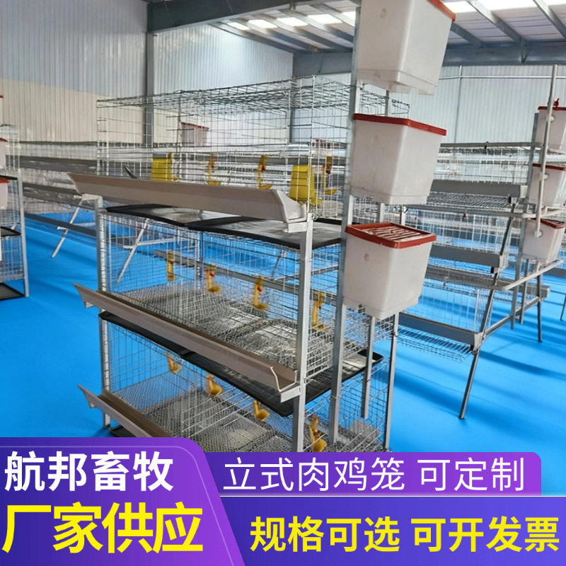 养殖育雏肉鸡一体笼立式小鸡育肥笼子后热镀大型鸡场鸡笼养殖设备