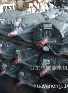 电动推杆铁芯YX3-315L1-10-75KW电机转子YX3-315L1-10-75电机