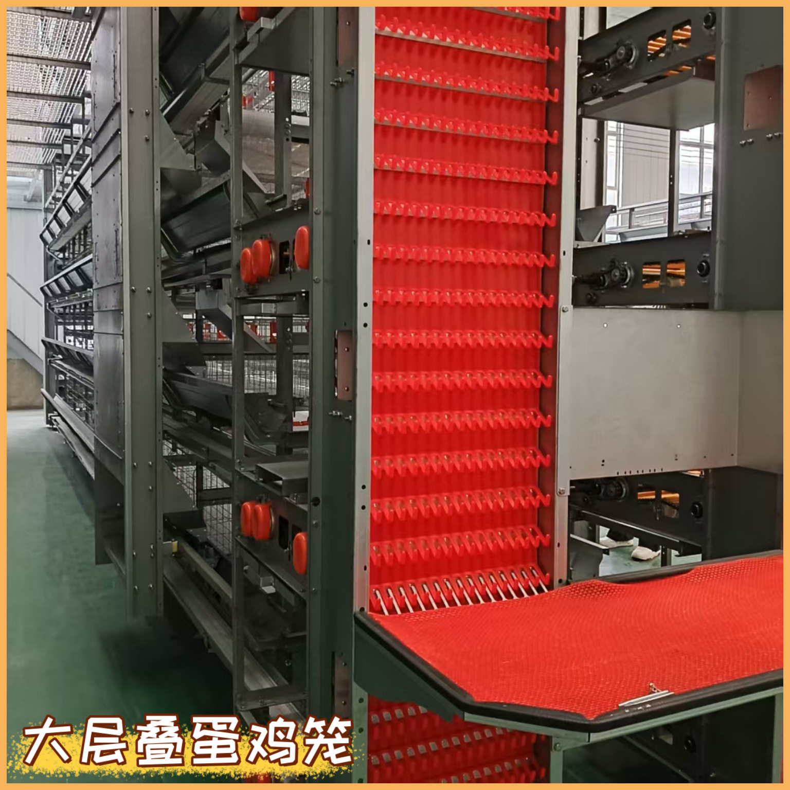 全自动大层叠蛋鸡笼 养鸡场蛋鸡养殖设备自动化养殖笼具