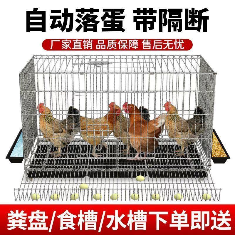 适配鸡笼子家用养鸡笼大号特大号自动清粪折叠养殖笼鸡舍铁丝网鸭