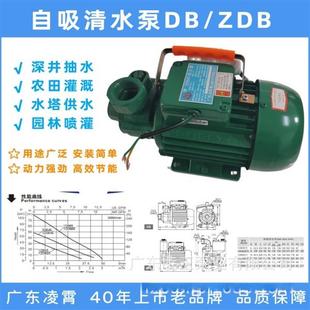 ZDB 适配凌霄清水泵增压自吸泵农用灌溉工业压电动家用DB