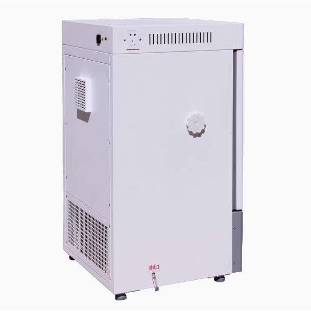 泰斯特生化培养箱0-65℃细菌培养BOD培养箱恒温箱SPX系列