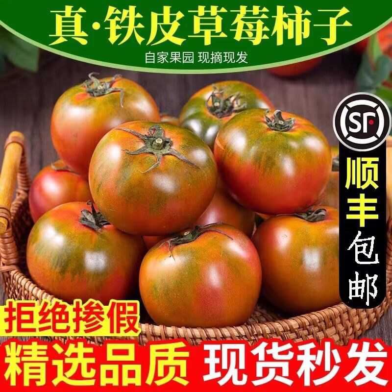 顺丰铁皮草莓柿子即食新鲜盘锦碱地自然熟绿腚正宗西红柿水果番茄