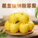 山东正宗维纳斯雀斑黄金苹果脆甜水果新鲜脆甜苹果坏了包赔