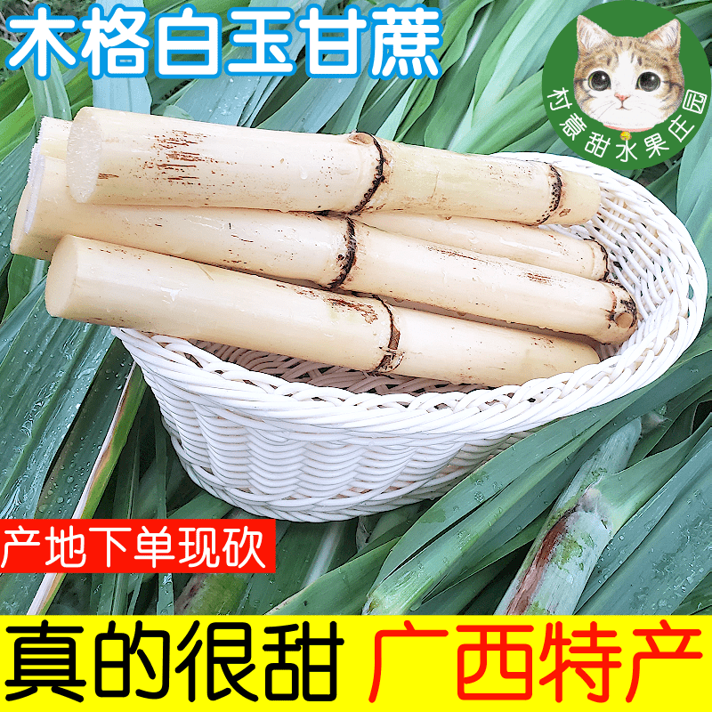 现货现发白玉甘蔗新鲜白玉蔗当季水果现砍玻璃脆手撕特产整箱包邮