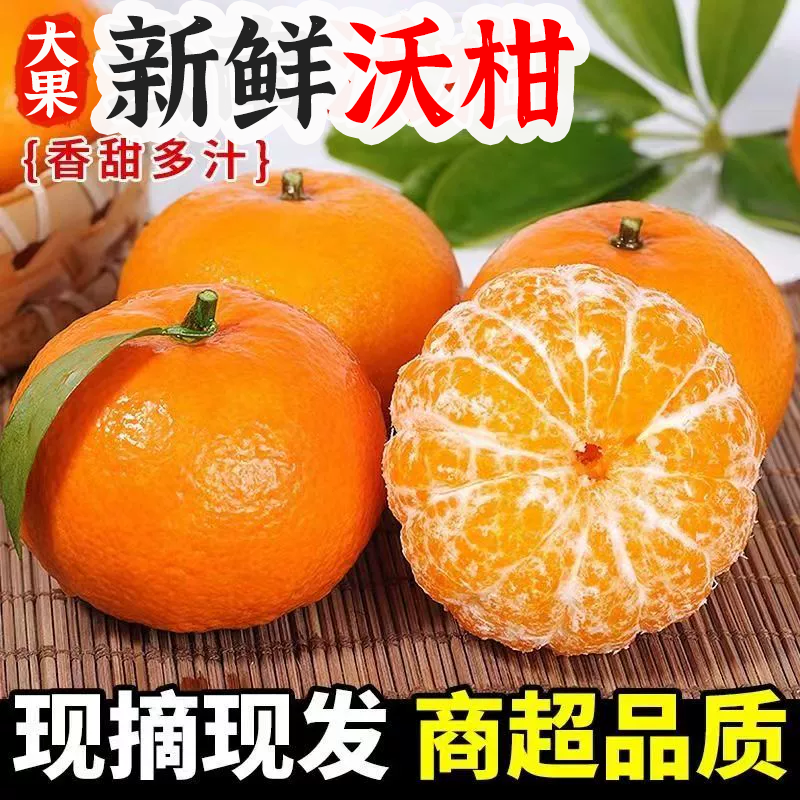 【超甜沃柑】果园沃柑新鲜现摘直发柑橘应季批发水果橘子桔子整箱,水产肉类/新鲜蔬果/熟食,其它,淘宝优惠券,粉丝福利购,淘宝优惠卷