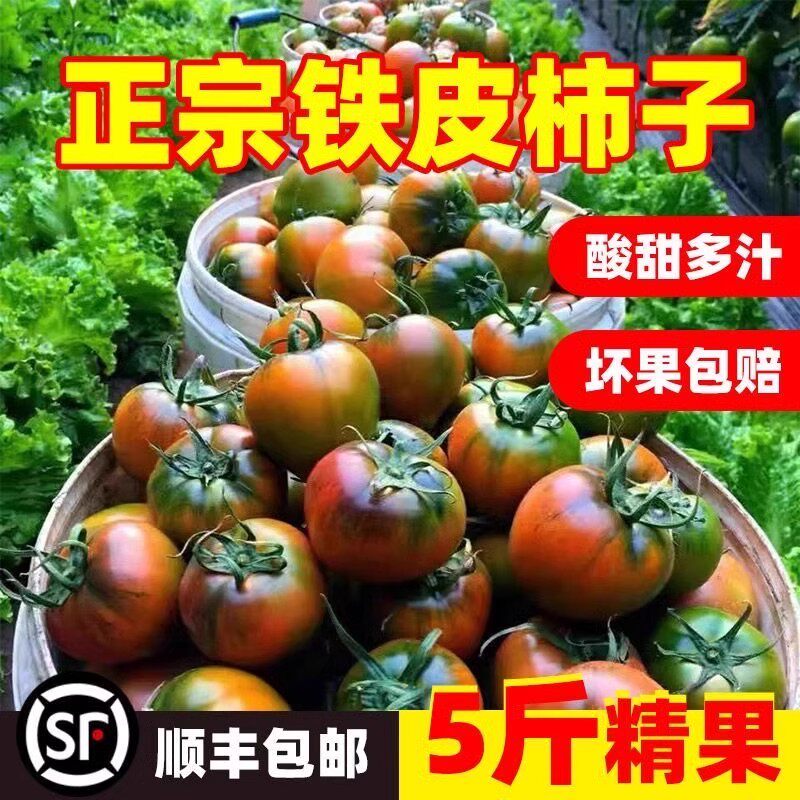 顺丰京东丹东铁皮柿子西红柿新鲜应季蔬菜自然熟绿腚草莓番茄生吃