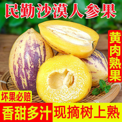 古来鲜甘肃民勤人参果低糖