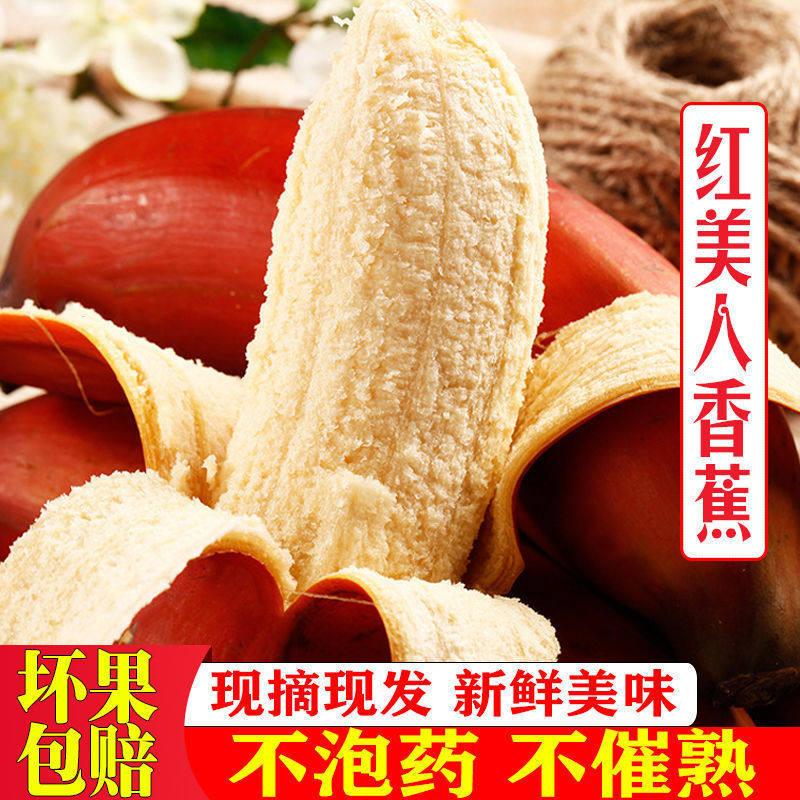 现割红美人香蕉软糯香甜红皮美人蕉当季新鲜孕妇水果催熟整箱包邮,水产肉类/新鲜蔬果/熟食,香蕉,淘宝优惠券,粉丝福利购,淘宝优惠卷