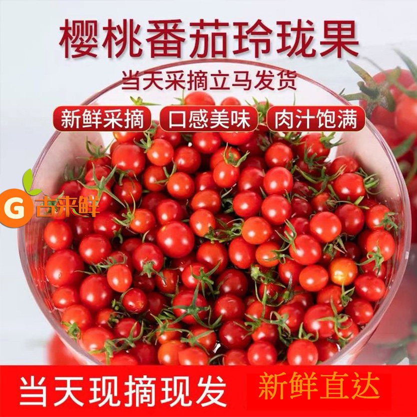 正宗釜山88玲珑千禧小番茄冰糖千禧果超甜樱桃小西红柿中小一整箱