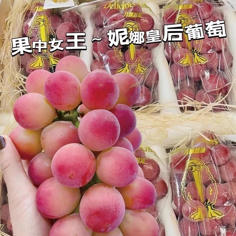 古来鲜妮娜皇后葡萄无籽提子