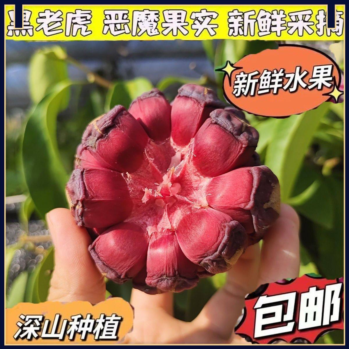 新鲜黑老虎水果恶魔果实富贵果布福娜血藤果应当季网红罕见奇异果