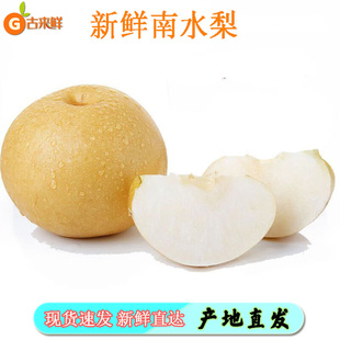 现货现发南水梨冰糖味南水梨应当季时令脆梨新鲜水果脆梨整箱包邮