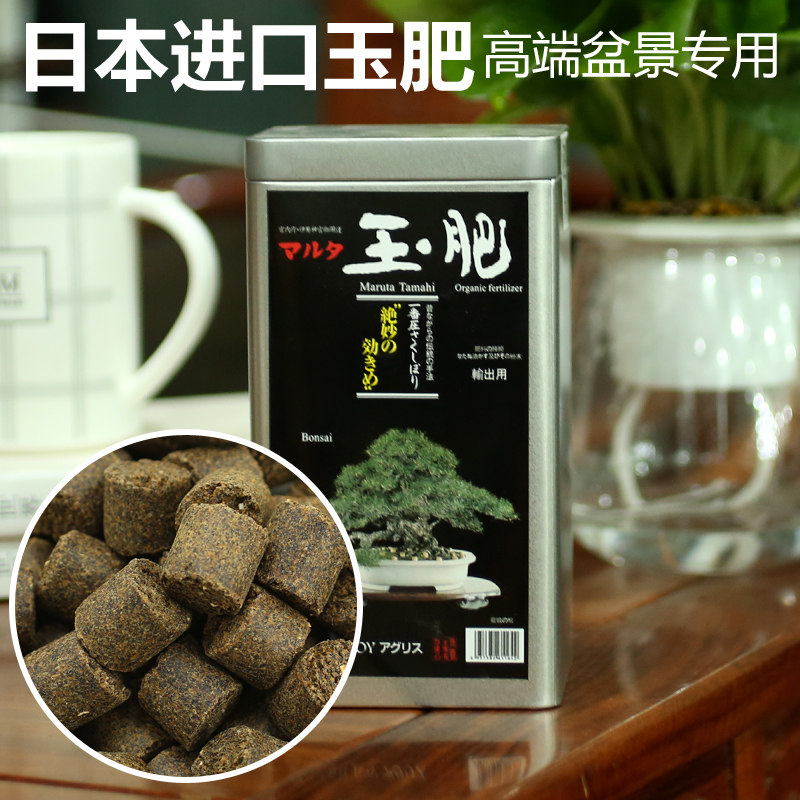 速发玉肥盆景松柏有花肥颗粒缓多肥释肉兰机盆栽通用