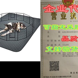 Dogs Puppy 速发Washable Pads Lge Pee Extra